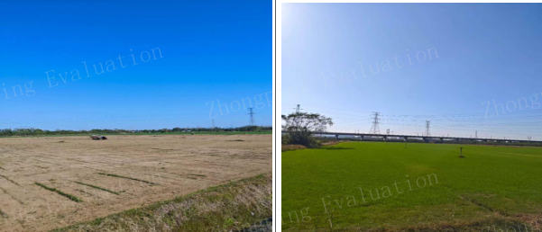 20251126160036087263.png 标的照片.png