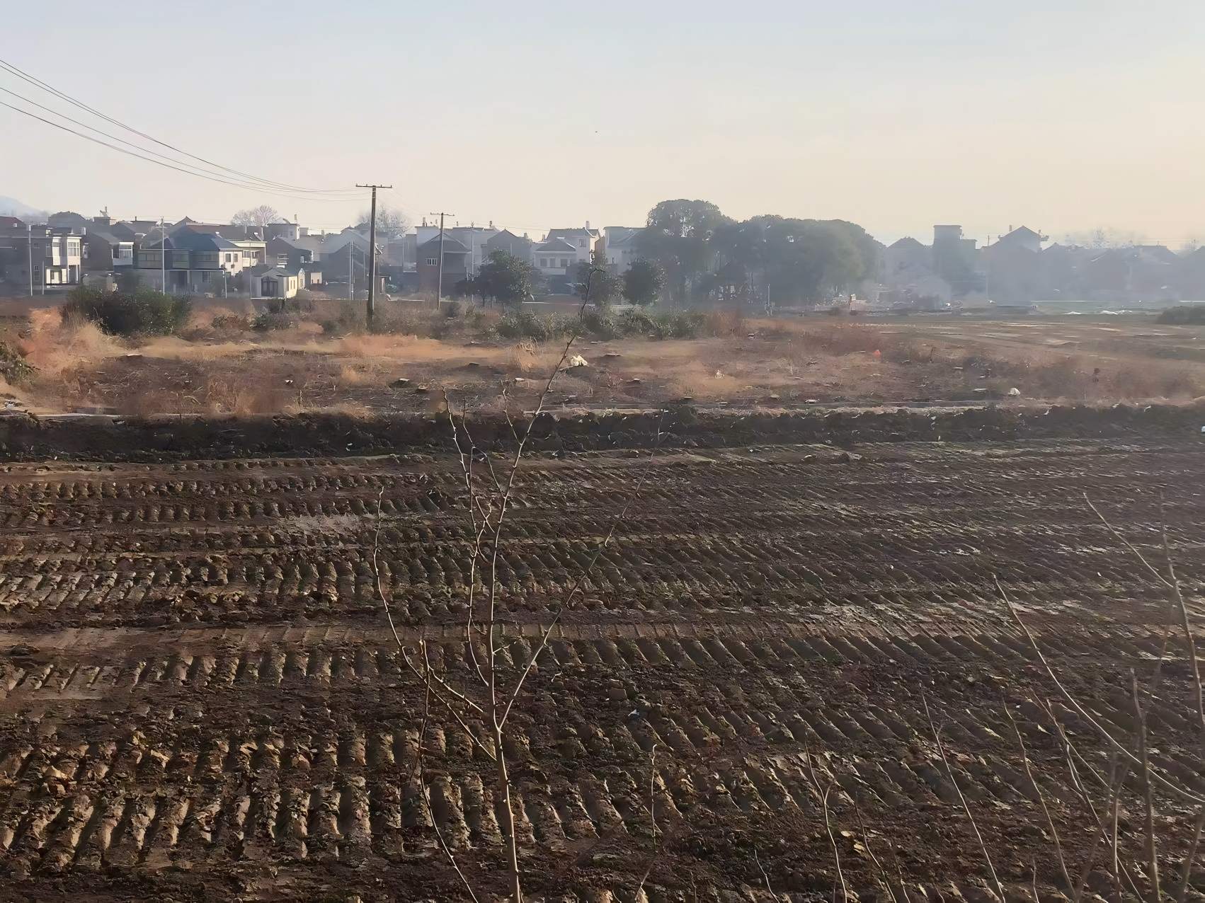 20260316155848086480.jpg 20260316155848086480.jpg