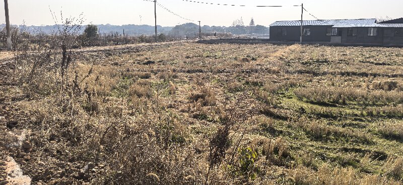 20260330103555004229.jpg 横山圩田图片2.jpg