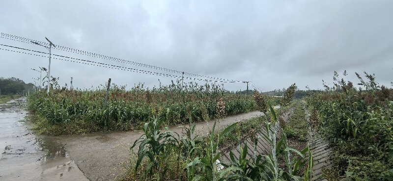 20261009151516076146.jpg 图片.jpg